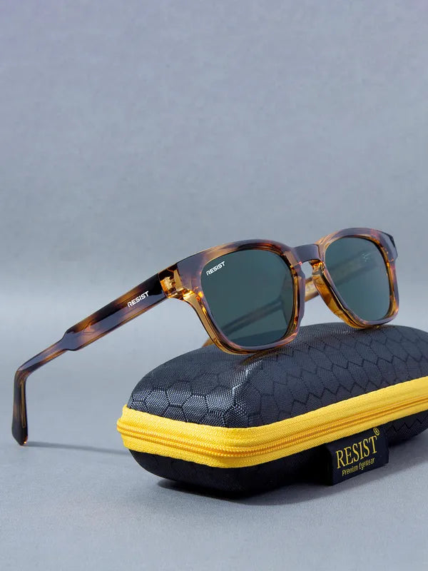 UV Protected Brown & Green Round Wayfarer Sunglasses for Men & Women