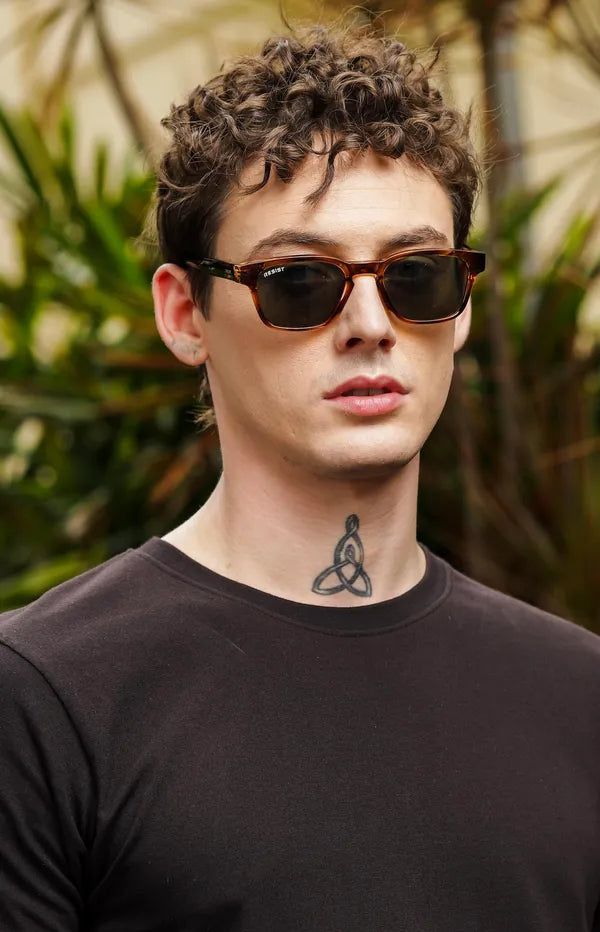 Brown & Green UV Protected Round Wayfarer Sunglasses